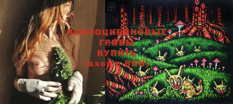 купить закладку  Нурлат  Псилоцибиновые грибы MAGIC MUSHROOMS 